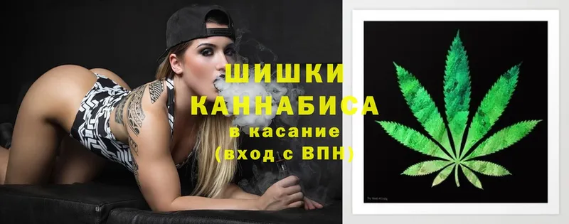 Конопля SATIVA & INDICA  Рославль 